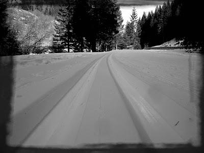 Sci di fondo: prima lezione gratuita! // Nordic Skiing: the first lesson is free!