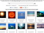 valida alternativa Google Immagini: Image Ripper
