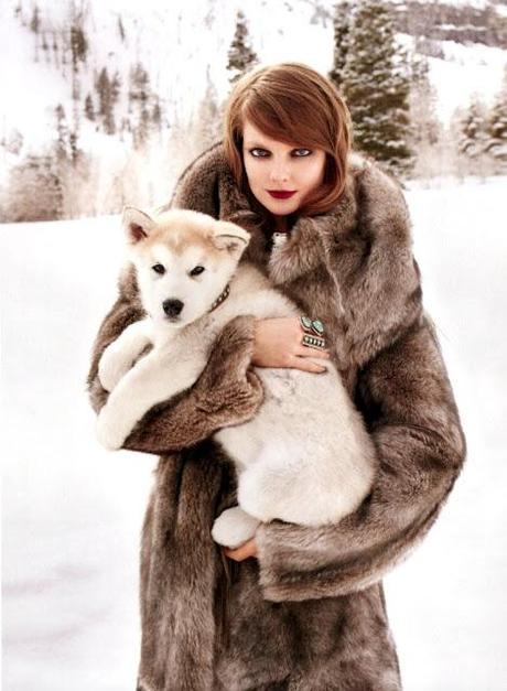 Snow: fur & color!