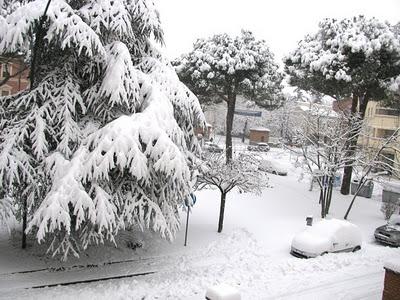 ALICE GINEVRA E LA NEVE - DA PROTTI A CATTOLICA - BRIOCHES DOLCI (ma non troppo) - CROISSANTS