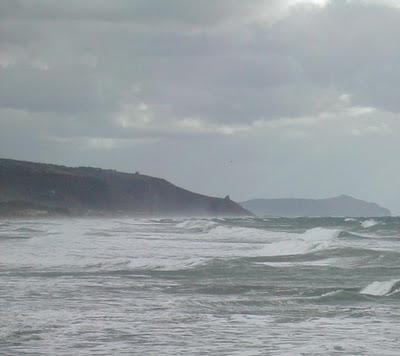 RISO DI MARE (per pensare al mare anche d'inverno)