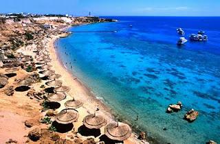 Cosa sta succedendo a Sharm el Sheikh?  What’s Going On In Sharm el Sheikh?