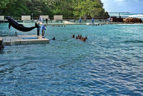 In diretta da Costa Atlantica: scalo a Ocho Rios, Giamaica.