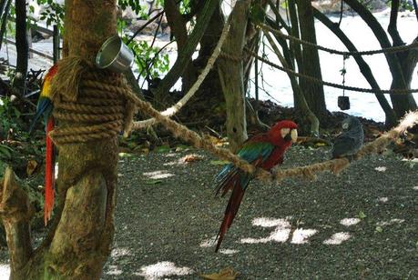 In diretta da Costa Atlantica: scalo a Ocho Rios, Giamaica.