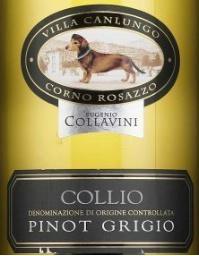 Il Pinot grigio