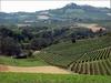 Dolcetto di Dogliani