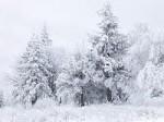 Meteo, neve, notizie, previsioni, neve torino,piemonte,maltempo al nord,maltempo italia,buran,