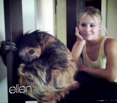 Kristen Bell in lacrime per un bradipo!!
