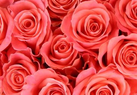 Tumblr_lo6r49su5t1qe6d0bo1_500_large