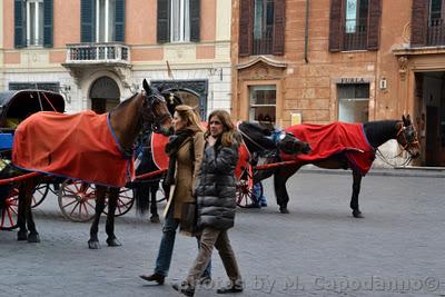 Da Roma ... al freddo e gelo