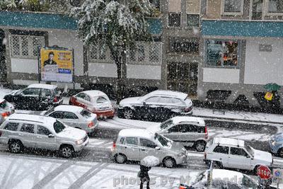 Da Roma ... al freddo e gelo