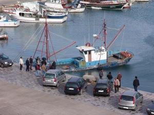 Terrasini, imbarcazione sotto sequestro rischia di affondare al porto. “Allarme inquinamento”
