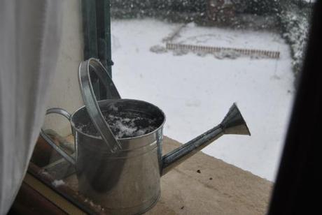 Un comune venerdì a Roma