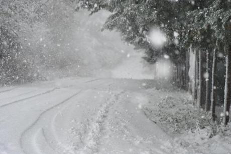 Un comune venerdì a Roma