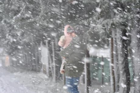 Un comune venerdì a Roma