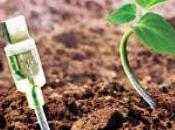 Fiera Agricola Verona dell’Agricoltura!