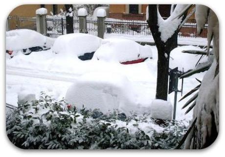 Tempo da lupi e nuovo PENDAGLIETTO a tema