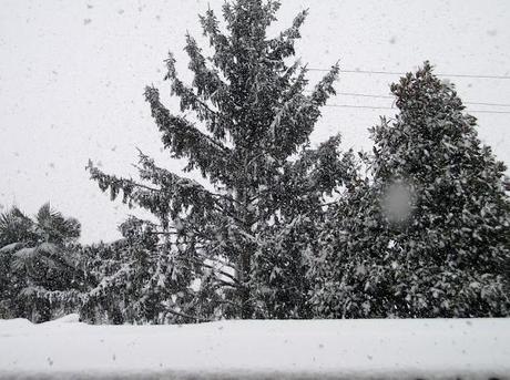 Dalle mie finestre: 1-2-3-febbraio 2012 Neve Fu!!!