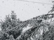 Dalle finestre: 1-2-3-febbraio 2012 Neve Fu!!!