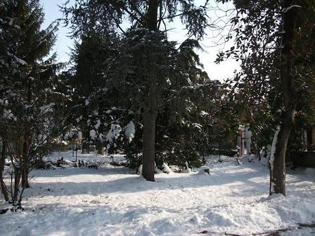 Dalle mie finestre: 1-2-3-febbraio 2012 Neve Fu!!!