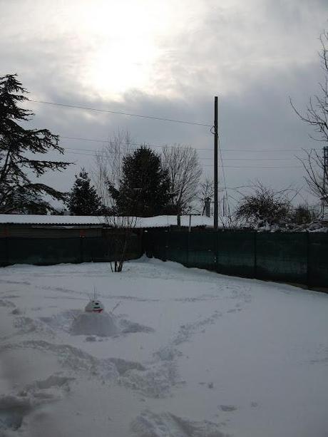 Dalle mie finestre: 1-2-3-febbraio 2012 Neve Fu!!!