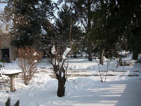 Dalle mie finestre: 1-2-3-febbraio 2012 Neve Fu!!!