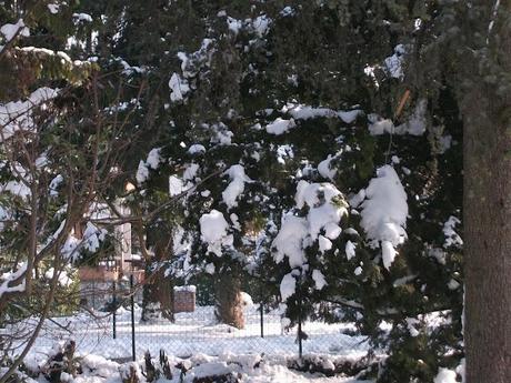 Dalle mie finestre: 1-2-3-febbraio 2012 Neve Fu!!!