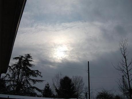 Dalle mie finestre: 1-2-3-febbraio 2012 Neve Fu!!!