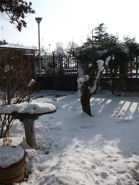 Dalle mie finestre: 1-2-3-febbraio 2012 Neve Fu!!!