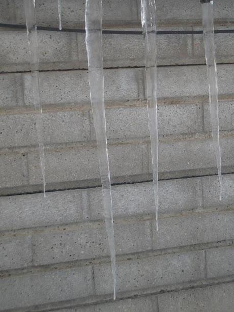 Dalle mie finestre: 1-2-3-febbraio 2012 Neve Fu!!!