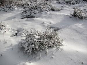 Emergenza neve in provincia di Oristano Chilometri di strade bloccate