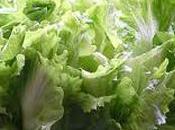 Maltempo: ferme marcire 50mila tonnellate verdure