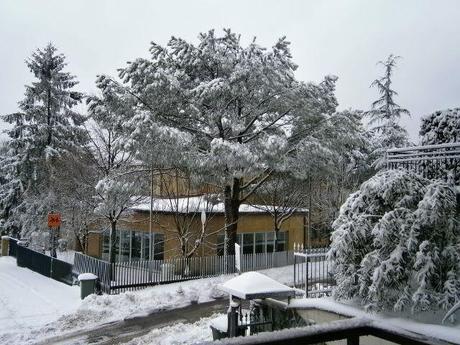 Neve!