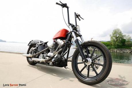 Harley-Davidson Softail Standard 2005 Custom