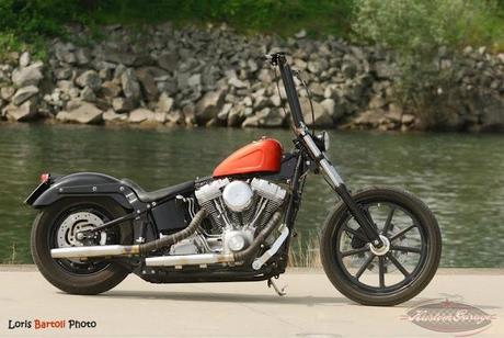 Harley-Davidson Softail Standard 2005 Custom