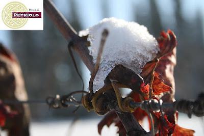 Ricetta…di stagione: uva alla neve