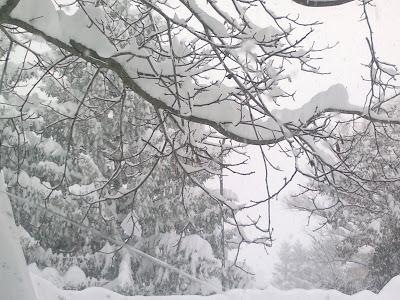 Situazione meteo...