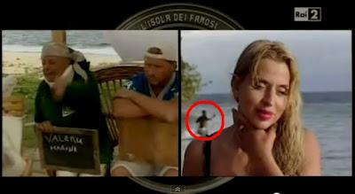 Ci sono degli intrusi sull'Isola dei Famosi?