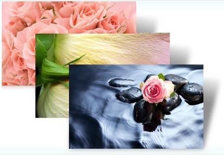 Roses theme Temi San Valentino Windows 7