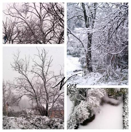 ABBIAMO COMPRATO CASA - MO NEVICA.