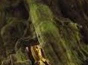 Recensione: mistero libri perduti Miriam Mastrovito