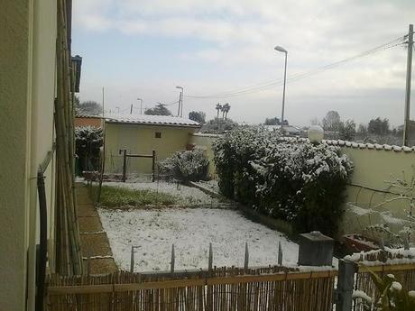 ...spaghetti alla carbonara con spinaci e...la neve!...