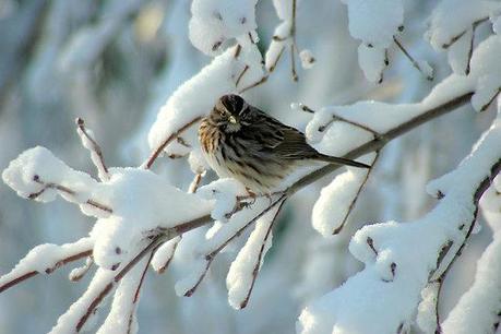 eventi green per fuggire dal freddo invernale!