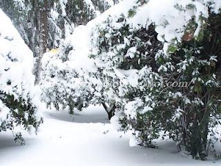 La neve a Roma