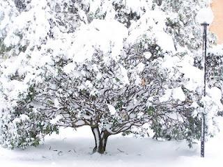 La neve a Roma