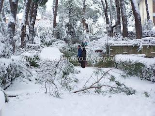 La neve a Roma