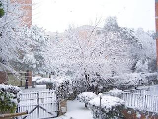 La neve a Roma