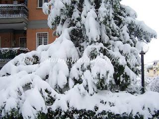 La neve a Roma