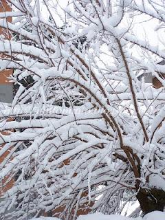 La neve a Roma