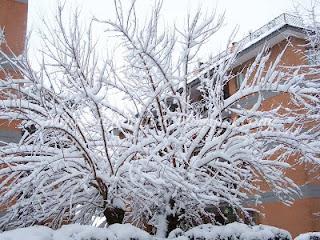 La neve a Roma